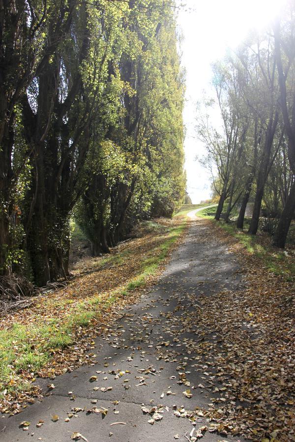 Refreshstay Palmerston North Luaran gambar